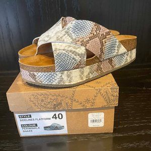 Free People Sidelines Flatform Periwinkle Snake Sandals size 40